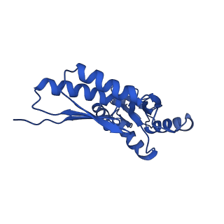 20832_6uot_W_v1-1
Cryo-EM structure of the PrgHK periplasmic ring from the Salmonella SPI-1 type III secretion needle complex solved at 3.3 angstrom resolution