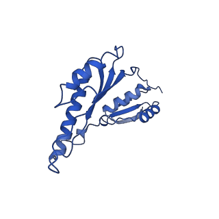 20832_6uot_Y_v1-0
Cryo-EM structure of the PrgHK periplasmic ring from the Salmonella SPI-1 type III secretion needle complex solved at 3.3 angstrom resolution