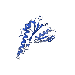 20832_6uot_Y_v1-1
Cryo-EM structure of the PrgHK periplasmic ring from the Salmonella SPI-1 type III secretion needle complex solved at 3.3 angstrom resolution