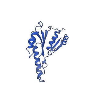 20832_6uot_a_v1-1
Cryo-EM structure of the PrgHK periplasmic ring from the Salmonella SPI-1 type III secretion needle complex solved at 3.3 angstrom resolution