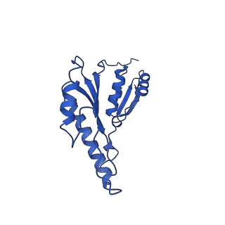 20832_6uot_b_v1-1
Cryo-EM structure of the PrgHK periplasmic ring from the Salmonella SPI-1 type III secretion needle complex solved at 3.3 angstrom resolution