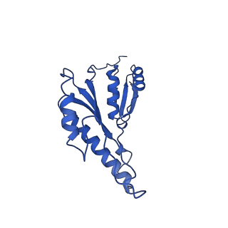 20832_6uot_c_v1-0
Cryo-EM structure of the PrgHK periplasmic ring from the Salmonella SPI-1 type III secretion needle complex solved at 3.3 angstrom resolution