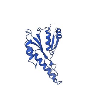 20832_6uot_c_v1-1
Cryo-EM structure of the PrgHK periplasmic ring from the Salmonella SPI-1 type III secretion needle complex solved at 3.3 angstrom resolution