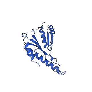 20832_6uot_d_v1-1
Cryo-EM structure of the PrgHK periplasmic ring from the Salmonella SPI-1 type III secretion needle complex solved at 3.3 angstrom resolution