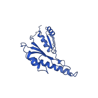 20832_6uot_e_v1-1
Cryo-EM structure of the PrgHK periplasmic ring from the Salmonella SPI-1 type III secretion needle complex solved at 3.3 angstrom resolution