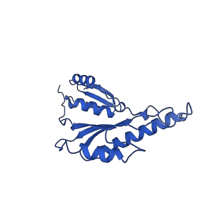 20832_6uot_h_v1-0
Cryo-EM structure of the PrgHK periplasmic ring from the Salmonella SPI-1 type III secretion needle complex solved at 3.3 angstrom resolution
