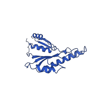 20832_6uot_h_v1-1
Cryo-EM structure of the PrgHK periplasmic ring from the Salmonella SPI-1 type III secretion needle complex solved at 3.3 angstrom resolution