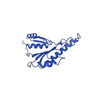 20832_6uot_i_v1-1
Cryo-EM structure of the PrgHK periplasmic ring from the Salmonella SPI-1 type III secretion needle complex solved at 3.3 angstrom resolution