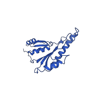 20832_6uot_j_v1-1
Cryo-EM structure of the PrgHK periplasmic ring from the Salmonella SPI-1 type III secretion needle complex solved at 3.3 angstrom resolution