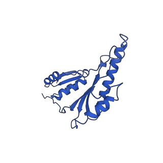 20832_6uot_k_v1-1
Cryo-EM structure of the PrgHK periplasmic ring from the Salmonella SPI-1 type III secretion needle complex solved at 3.3 angstrom resolution