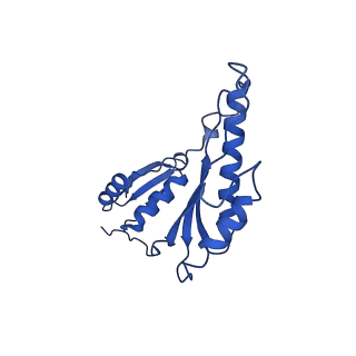 20832_6uot_l_v1-1
Cryo-EM structure of the PrgHK periplasmic ring from the Salmonella SPI-1 type III secretion needle complex solved at 3.3 angstrom resolution