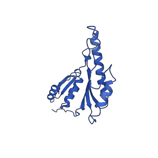 20832_6uot_m_v1-1
Cryo-EM structure of the PrgHK periplasmic ring from the Salmonella SPI-1 type III secretion needle complex solved at 3.3 angstrom resolution