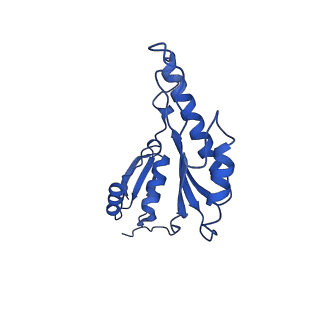 20832_6uot_n_v1-0
Cryo-EM structure of the PrgHK periplasmic ring from the Salmonella SPI-1 type III secretion needle complex solved at 3.3 angstrom resolution