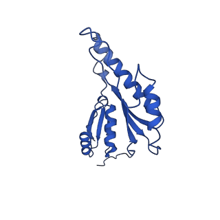 20832_6uot_o_v1-0
Cryo-EM structure of the PrgHK periplasmic ring from the Salmonella SPI-1 type III secretion needle complex solved at 3.3 angstrom resolution