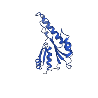 20832_6uot_o_v1-1
Cryo-EM structure of the PrgHK periplasmic ring from the Salmonella SPI-1 type III secretion needle complex solved at 3.3 angstrom resolution