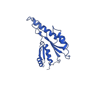 20832_6uot_p_v1-0
Cryo-EM structure of the PrgHK periplasmic ring from the Salmonella SPI-1 type III secretion needle complex solved at 3.3 angstrom resolution
