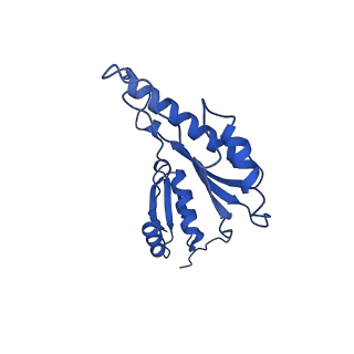 20832_6uot_p_v1-1
Cryo-EM structure of the PrgHK periplasmic ring from the Salmonella SPI-1 type III secretion needle complex solved at 3.3 angstrom resolution