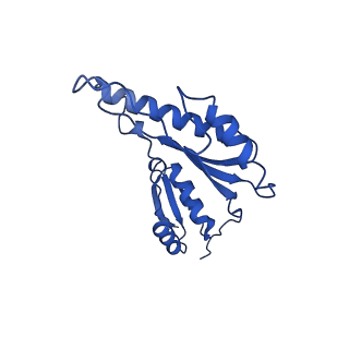 20832_6uot_q_v1-0
Cryo-EM structure of the PrgHK periplasmic ring from the Salmonella SPI-1 type III secretion needle complex solved at 3.3 angstrom resolution