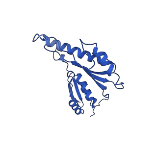 20832_6uot_q_v1-1
Cryo-EM structure of the PrgHK periplasmic ring from the Salmonella SPI-1 type III secretion needle complex solved at 3.3 angstrom resolution