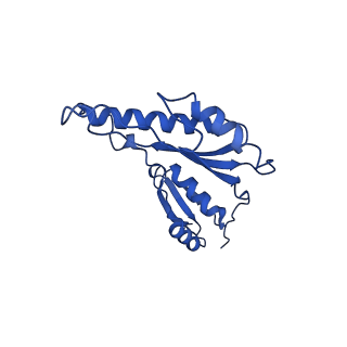 20832_6uot_r_v1-1
Cryo-EM structure of the PrgHK periplasmic ring from the Salmonella SPI-1 type III secretion needle complex solved at 3.3 angstrom resolution