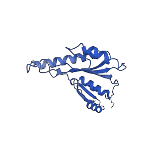 20832_6uot_s_v1-1
Cryo-EM structure of the PrgHK periplasmic ring from the Salmonella SPI-1 type III secretion needle complex solved at 3.3 angstrom resolution