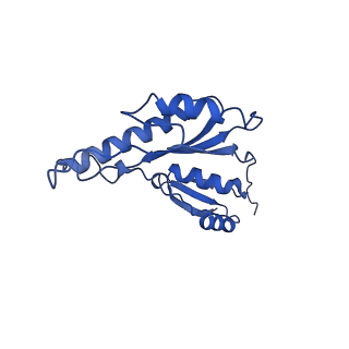 20832_6uot_t_v1-0
Cryo-EM structure of the PrgHK periplasmic ring from the Salmonella SPI-1 type III secretion needle complex solved at 3.3 angstrom resolution
