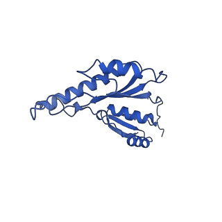 20832_6uot_t_v1-1
Cryo-EM structure of the PrgHK periplasmic ring from the Salmonella SPI-1 type III secretion needle complex solved at 3.3 angstrom resolution