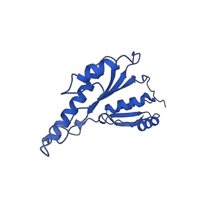 20832_6uot_v_v1-1
Cryo-EM structure of the PrgHK periplasmic ring from the Salmonella SPI-1 type III secretion needle complex solved at 3.3 angstrom resolution