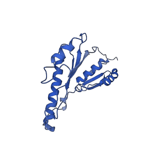 20833_6uov_A_v1-0
Cryo-EM reconstruction of the PrgHK periplasmic ring from Salmonella's needle complex assembled in the absence of the export apparatus