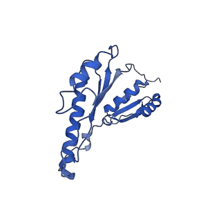 20833_6uov_A_v1-1
Cryo-EM reconstruction of the PrgHK periplasmic ring from Salmonella's needle complex assembled in the absence of the export apparatus