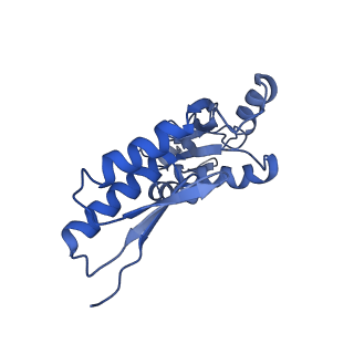 20833_6uov_B_v1-1
Cryo-EM reconstruction of the PrgHK periplasmic ring from Salmonella's needle complex assembled in the absence of the export apparatus