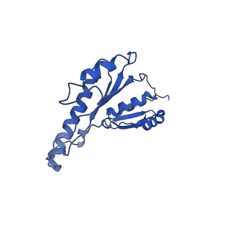 20833_6uov_C_v1-1
Cryo-EM reconstruction of the PrgHK periplasmic ring from Salmonella's needle complex assembled in the absence of the export apparatus