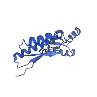20833_6uov_D_v1-0
Cryo-EM reconstruction of the PrgHK periplasmic ring from Salmonella's needle complex assembled in the absence of the export apparatus