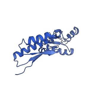 20833_6uov_D_v1-1
Cryo-EM reconstruction of the PrgHK periplasmic ring from Salmonella's needle complex assembled in the absence of the export apparatus