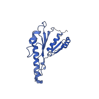 20833_6uov_E_v1-1
Cryo-EM reconstruction of the PrgHK periplasmic ring from Salmonella's needle complex assembled in the absence of the export apparatus