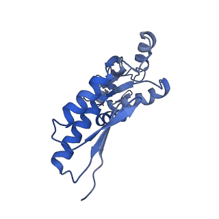 20833_6uov_F_v1-1
Cryo-EM reconstruction of the PrgHK periplasmic ring from Salmonella's needle complex assembled in the absence of the export apparatus