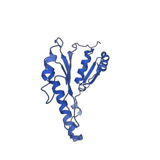 20833_6uov_G_v1-1
Cryo-EM reconstruction of the PrgHK periplasmic ring from Salmonella's needle complex assembled in the absence of the export apparatus