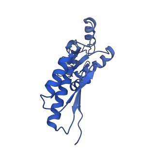 20833_6uov_H_v1-1
Cryo-EM reconstruction of the PrgHK periplasmic ring from Salmonella's needle complex assembled in the absence of the export apparatus