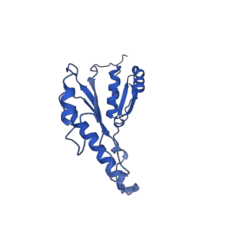 20833_6uov_I_v1-1
Cryo-EM reconstruction of the PrgHK periplasmic ring from Salmonella's needle complex assembled in the absence of the export apparatus