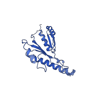 20833_6uov_K_v1-1
Cryo-EM reconstruction of the PrgHK periplasmic ring from Salmonella's needle complex assembled in the absence of the export apparatus