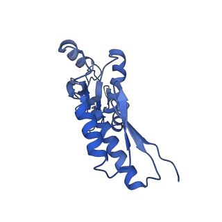 20833_6uov_L_v1-1
Cryo-EM reconstruction of the PrgHK periplasmic ring from Salmonella's needle complex assembled in the absence of the export apparatus