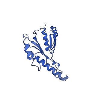 20833_6uov_M_v1-1
Cryo-EM reconstruction of the PrgHK periplasmic ring from Salmonella's needle complex assembled in the absence of the export apparatus