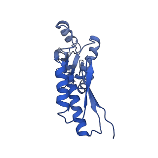 20833_6uov_N_v1-1
Cryo-EM reconstruction of the PrgHK periplasmic ring from Salmonella's needle complex assembled in the absence of the export apparatus