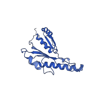 20833_6uov_O_v1-1
Cryo-EM reconstruction of the PrgHK periplasmic ring from Salmonella's needle complex assembled in the absence of the export apparatus