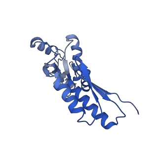 20833_6uov_P_v1-1
Cryo-EM reconstruction of the PrgHK periplasmic ring from Salmonella's needle complex assembled in the absence of the export apparatus