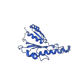 20833_6uov_Q_v1-1
Cryo-EM reconstruction of the PrgHK periplasmic ring from Salmonella's needle complex assembled in the absence of the export apparatus