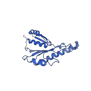 20833_6uov_S_v1-1
Cryo-EM reconstruction of the PrgHK periplasmic ring from Salmonella's needle complex assembled in the absence of the export apparatus