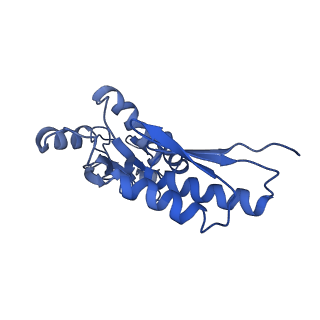 20833_6uov_T_v1-1
Cryo-EM reconstruction of the PrgHK periplasmic ring from Salmonella's needle complex assembled in the absence of the export apparatus