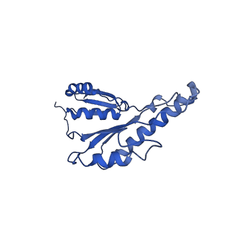 20833_6uov_U_v1-1
Cryo-EM reconstruction of the PrgHK periplasmic ring from Salmonella's needle complex assembled in the absence of the export apparatus