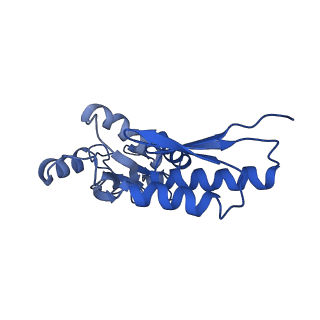 20833_6uov_V_v1-1
Cryo-EM reconstruction of the PrgHK periplasmic ring from Salmonella's needle complex assembled in the absence of the export apparatus